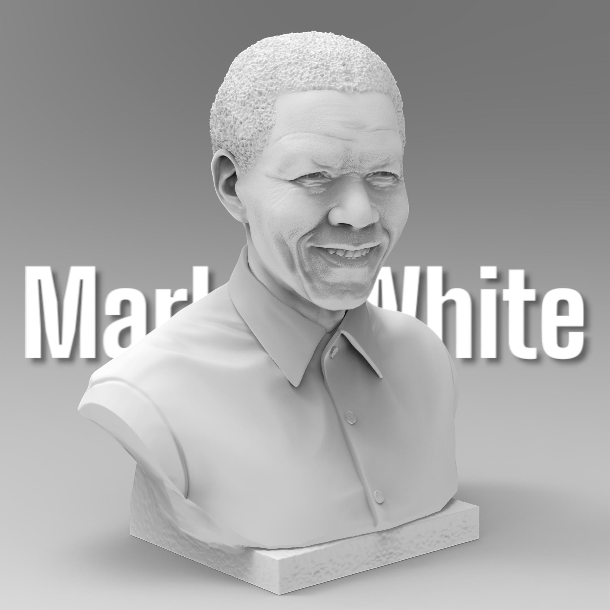 Nelson Mandela bust sculpture showcasing his warm smile and distinguished features. A tribute to the iconic leader, symbolizing resilience, justice, and peace.