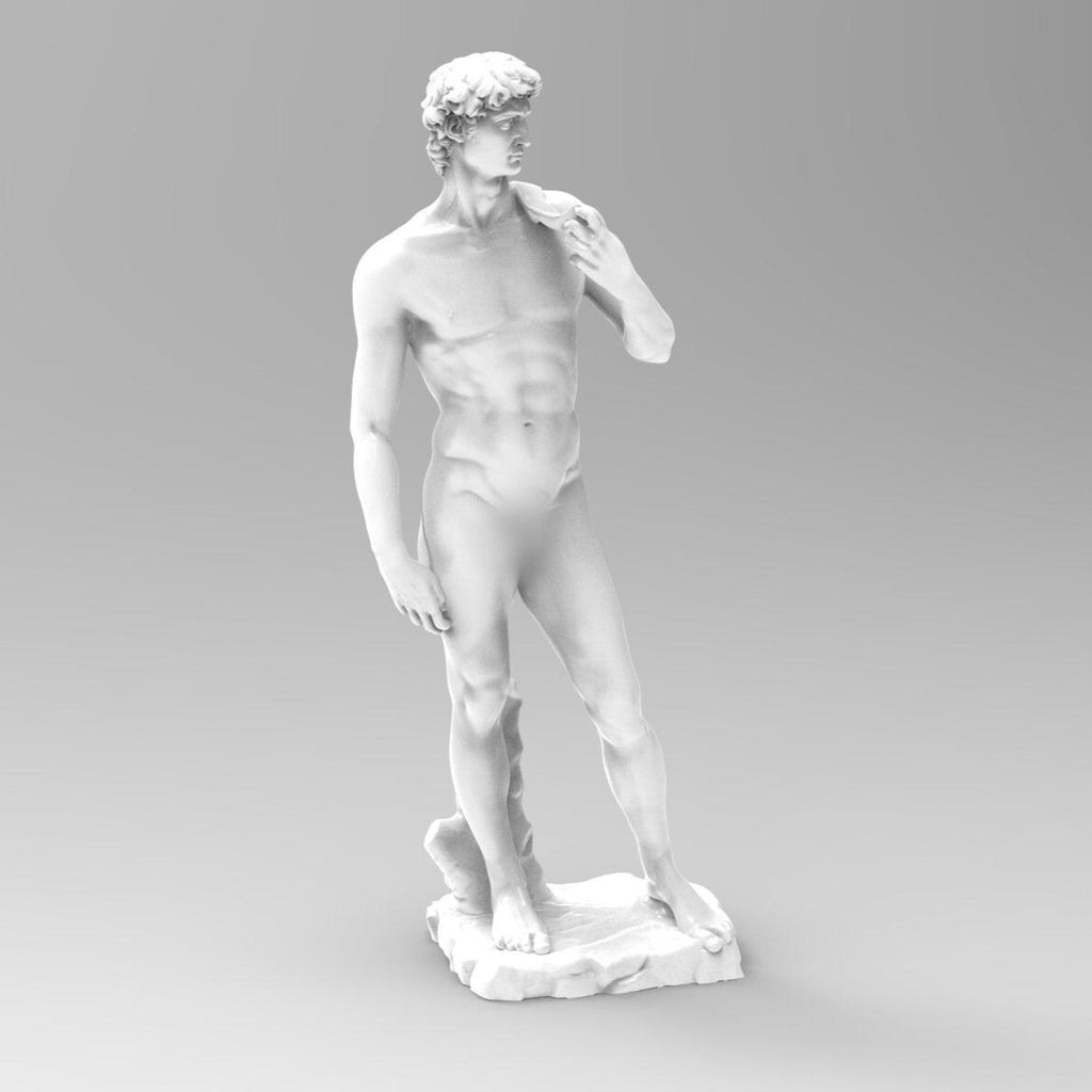 Detailed statuette of Michelangelo David, capturing the Renaissance masterpiece’s iconic pose and intricate anatomy. A timeless representation of classical art and human beauty.