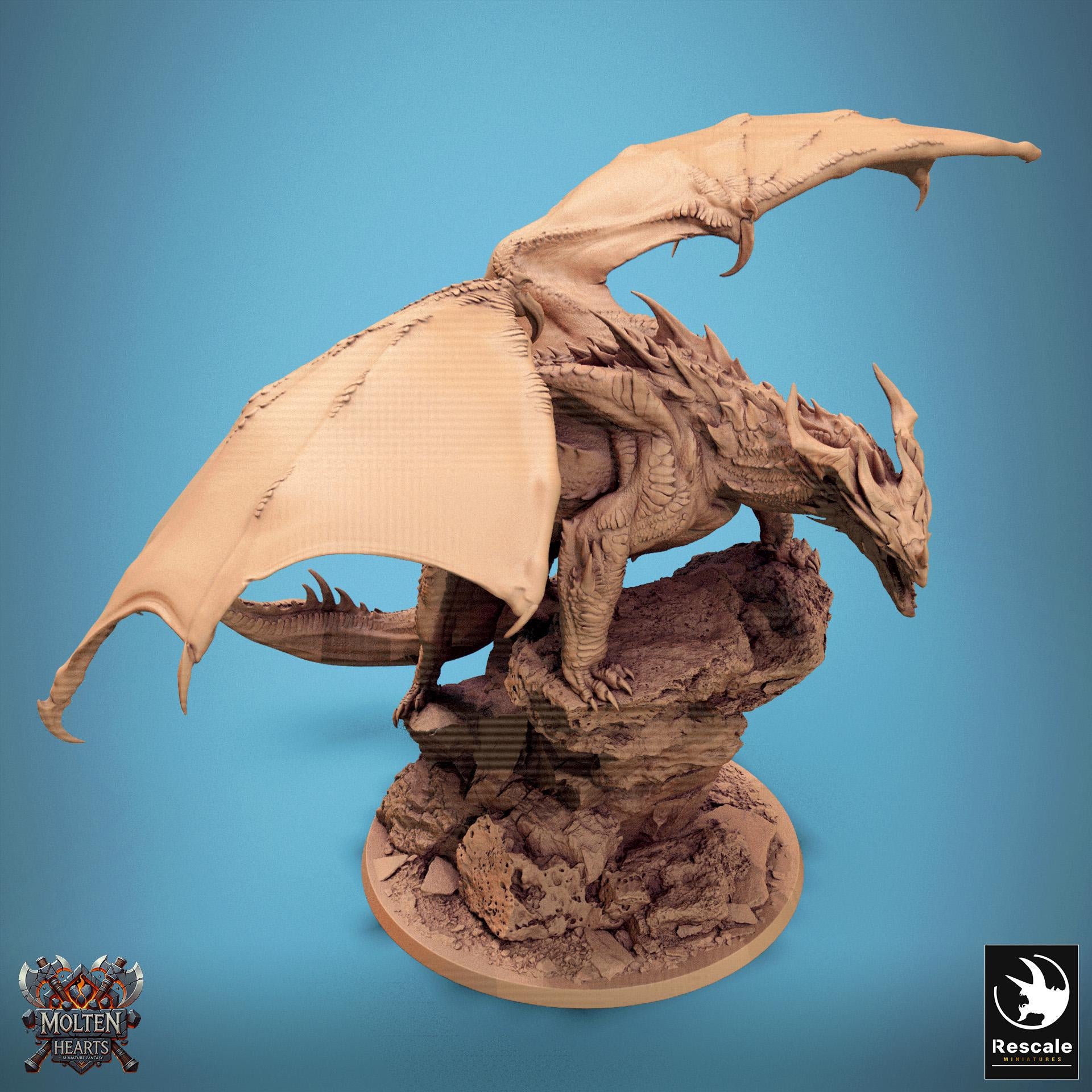 A fearsome Chromatic Red Dragon perches atop a rocky outcrop, wings spread wide and mouth open in a menacing roar. Its scales are rugged and spiked, exuding raw power and dominance. A perfect miniature for collectors and tabletop RPG enthusiasts.