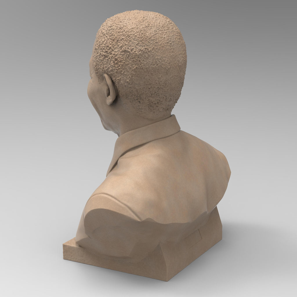 Nelson Mandela bust sculpture showcasing his warm smile and distinguished features. A tribute to the iconic leader, symbolizing resilience, justice, and peace.
