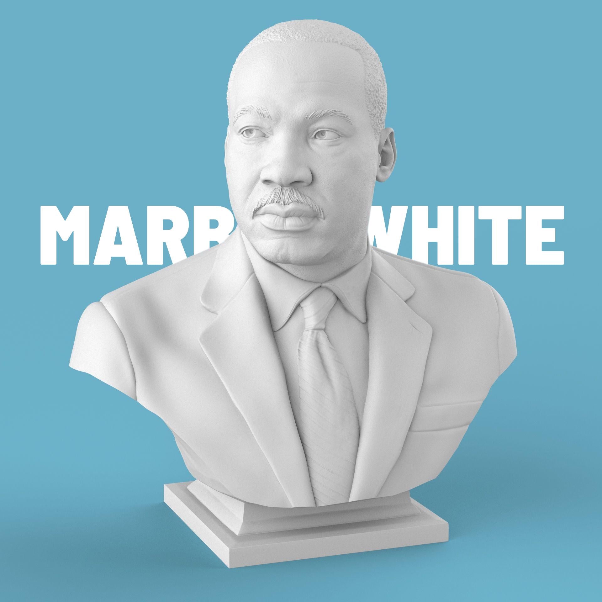 3D-printed bust of Martin Luther King Jr. in a suit and tie, capturing his determined expression with fine detailing, ideal for collectors, tributes, or display décor.