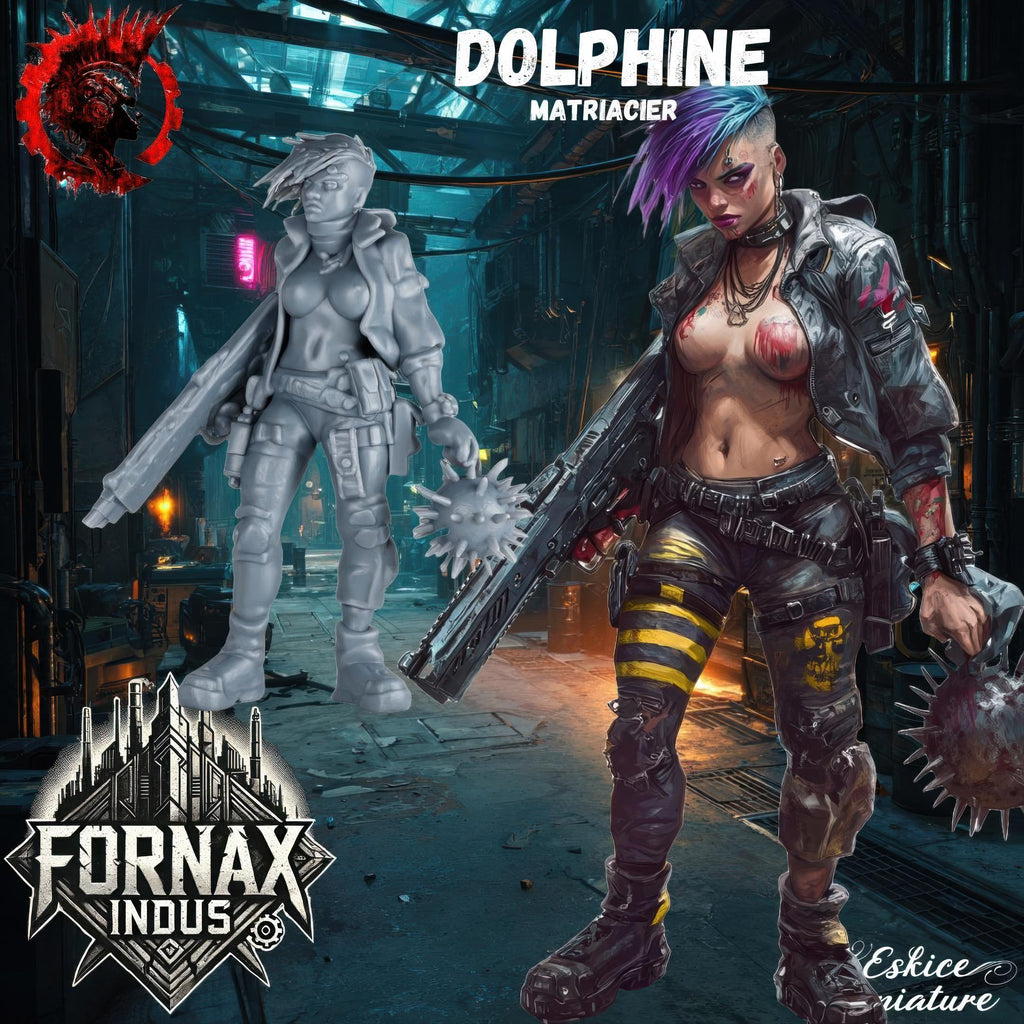 A group of six highly detailed 3D-printed miniatures representing a post-apocalyptic punk gang, featuring fierce female and male characters with mohawks, cybernetic enhancements, and heavy weaponry. The figures are designed in a gritty sci-fi style, posed for action, and intended for tabletop wargaming. The background includes the illustrated gang members in a dark, dystopian alleyway, reinforcing the futuristic and rebellious aesthetic of the Fornax Indus universe.