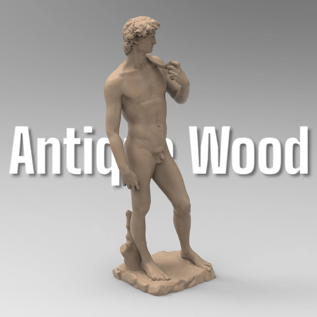 Detailed statuette of Michelangelo David, capturing the Renaissance masterpiece’s iconic pose and intricate anatomy. A timeless representation of classical art and human beauty.