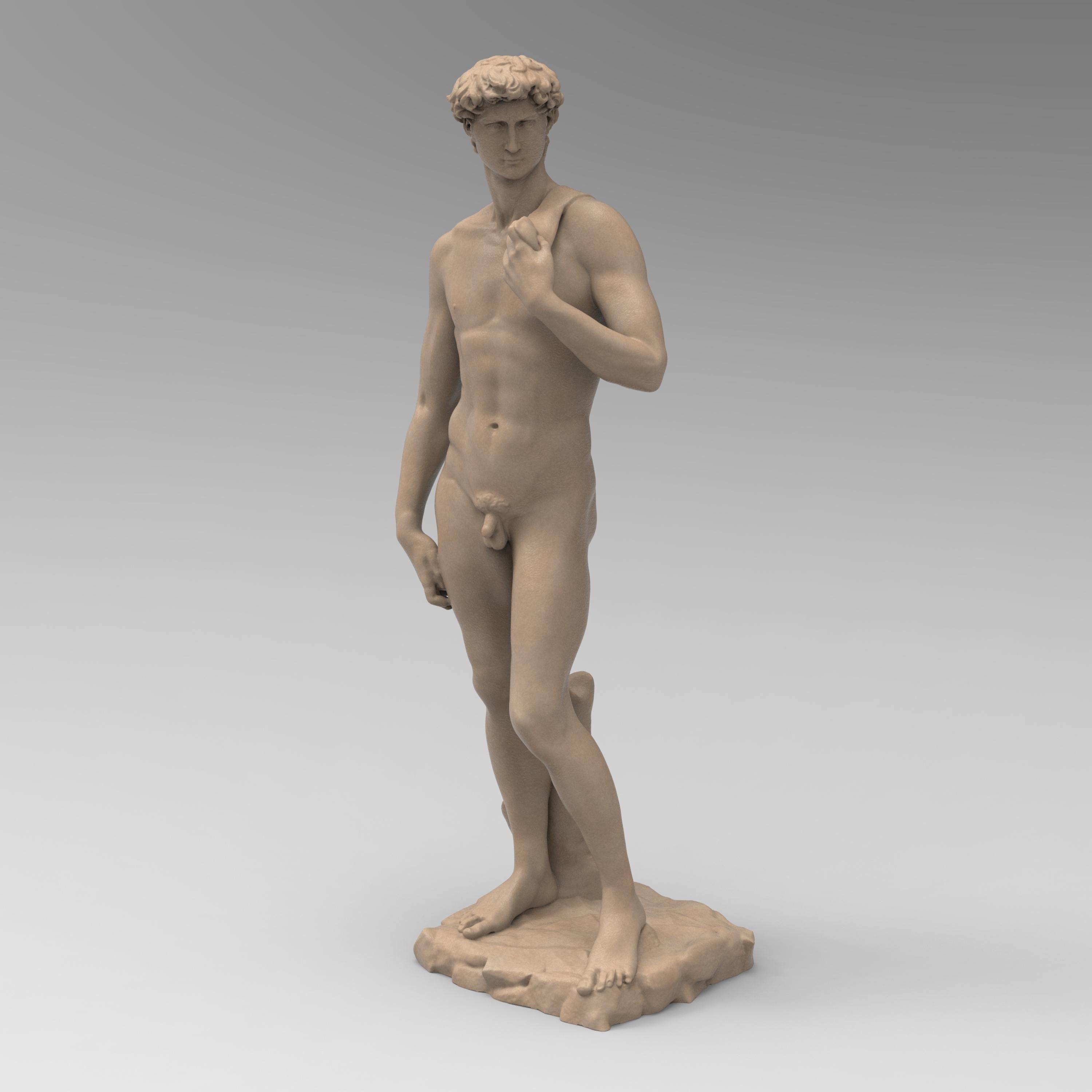 Detailed statuette of Michelangelo David, capturing the Renaissance masterpiece’s iconic pose and intricate anatomy. A timeless representation of classical art and human beauty.