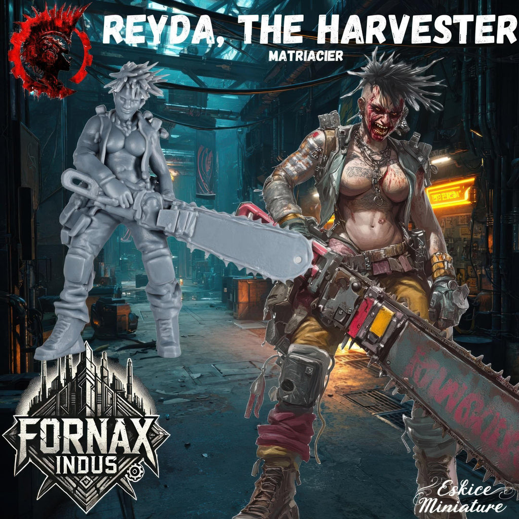 A group of six highly detailed 3D-printed miniatures representing a post-apocalyptic punk gang, featuring fierce female and male characters with mohawks, cybernetic enhancements, and heavy weaponry. The figures are designed in a gritty sci-fi style, posed for action, and intended for tabletop wargaming. The background includes the illustrated gang members in a dark, dystopian alleyway, reinforcing the futuristic and rebellious aesthetic of the Fornax Indus universe.