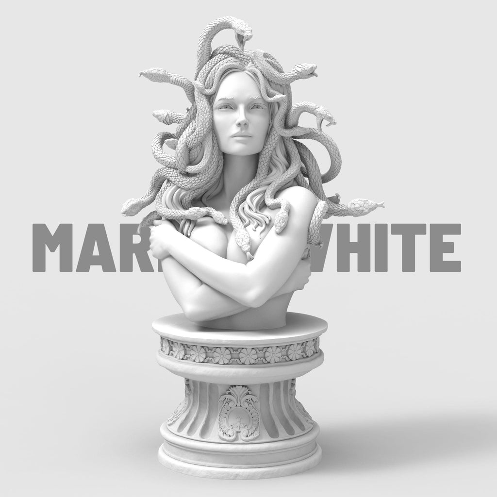 Medusa bust sculpture snake hair mythological woman detailed resin statue Greek mythology decor fantasy tabletop collectible