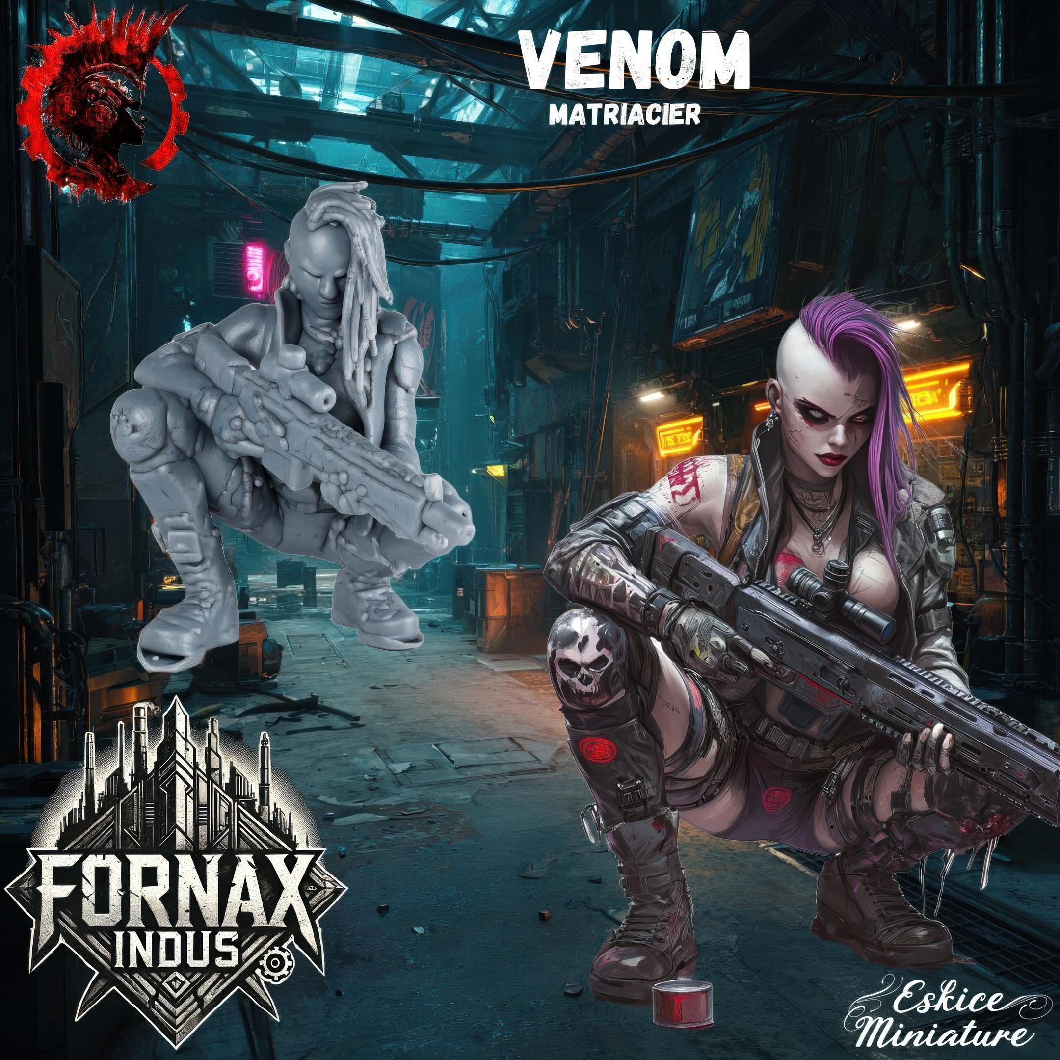A group of six highly detailed 3D-printed miniatures representing a post-apocalyptic punk gang, featuring fierce female and male characters with mohawks, cybernetic enhancements, and heavy weaponry. The figures are designed in a gritty sci-fi style, posed for action, and intended for tabletop wargaming. The background includes the illustrated gang members in a dark, dystopian alleyway, reinforcing the futuristic and rebellious aesthetic of the Fornax Indus universe.