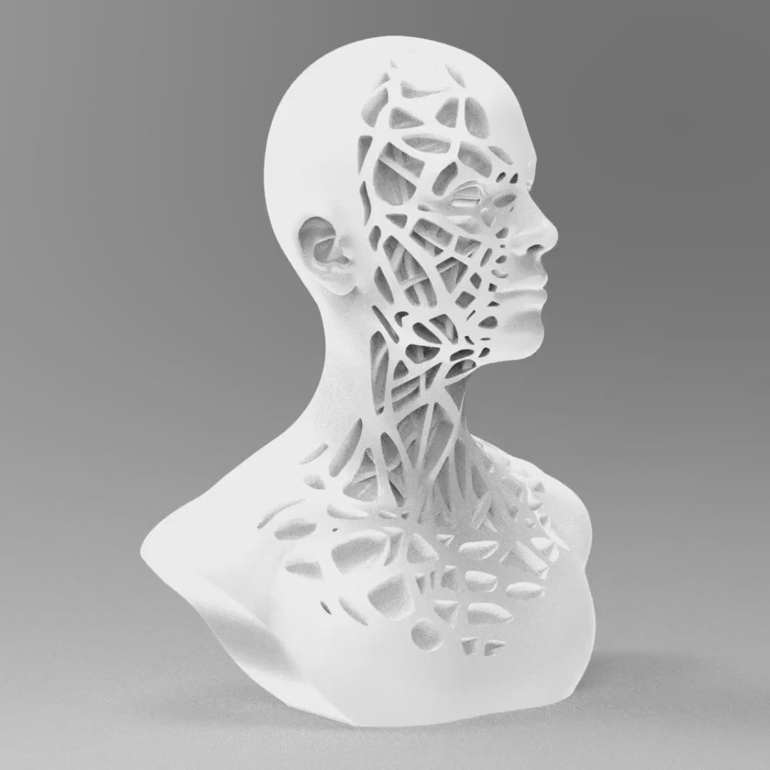 Fractured Elegance Sculpture | Various Styles