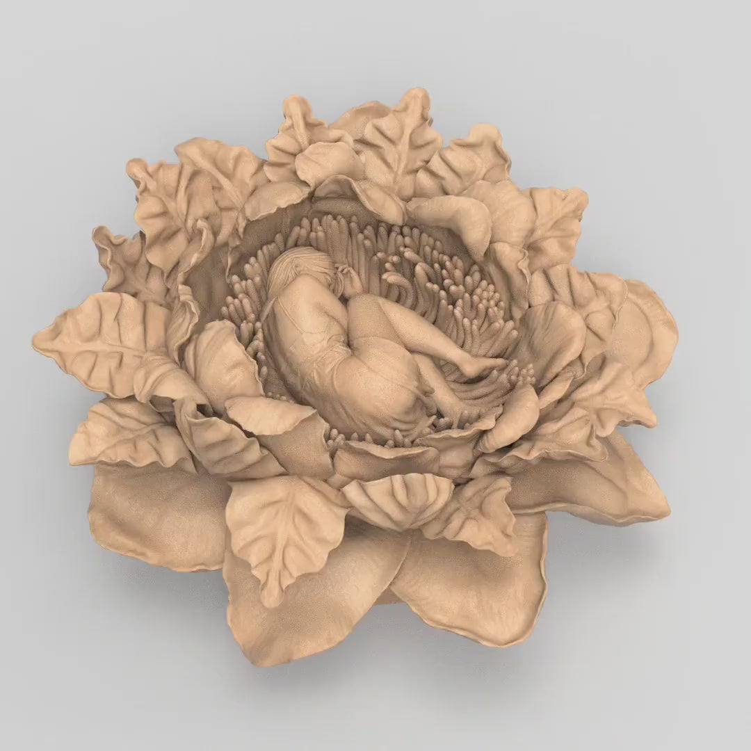 The Sleeping Beauty Sculpture | Various Styles