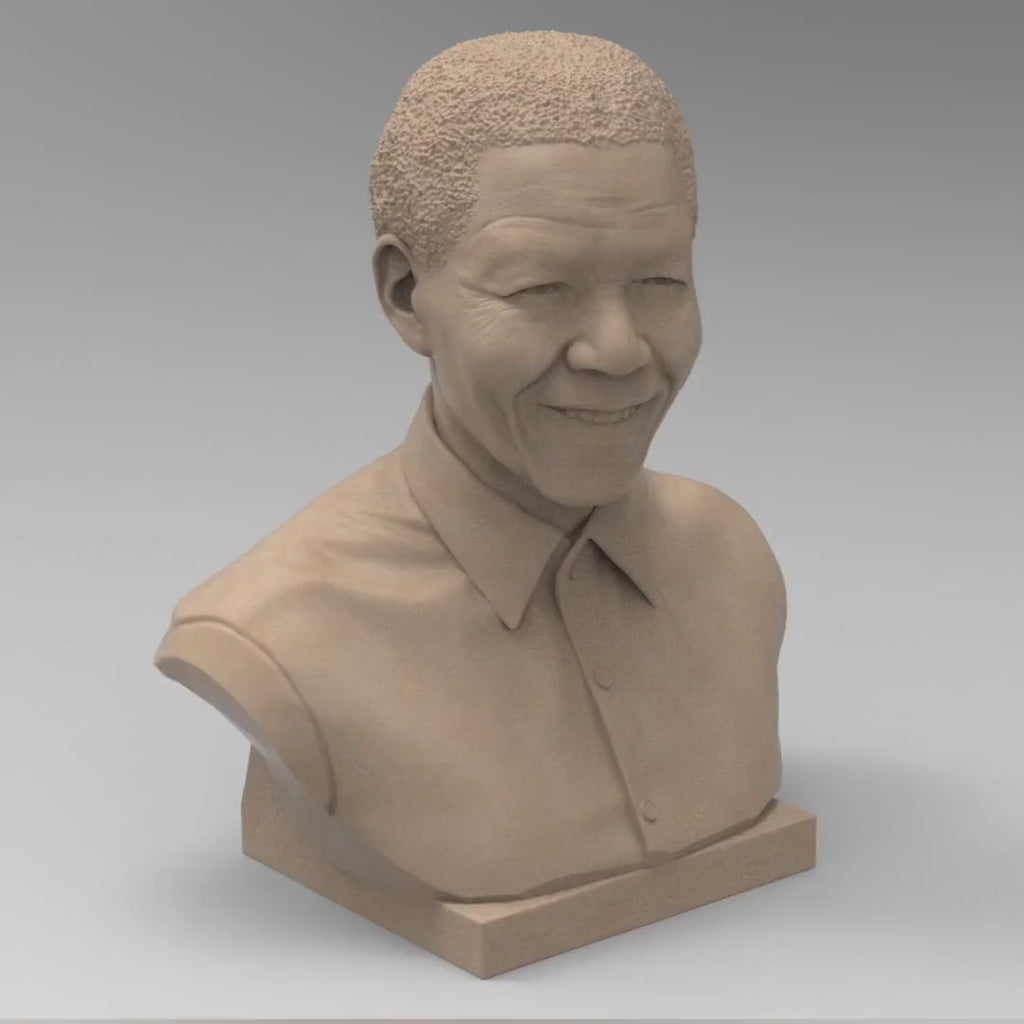 Nelson Mandela Sculpture | Various Styles