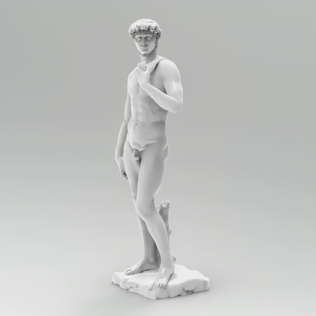 Michelangelos David Sculpture | Various Styles